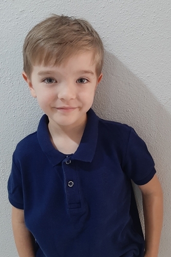 Mete Dilsiz - IMC AJANS