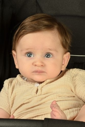 Aslan Zeyd zsoy - IMC AJANS