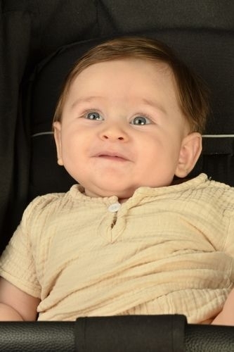 Aslan Zeyd zsoy - IMC AJANS