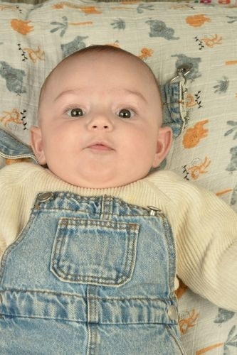 Kartal Kaya - IMC AJANS