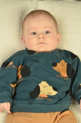 Yaman Satr - IMC AJANS