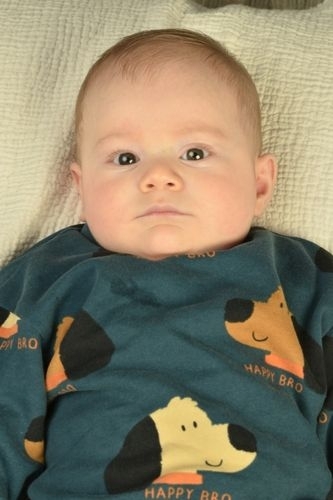 Yaman Satr - IMC AJANS