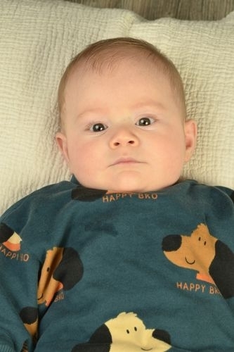 Yaman Satr - IMC AJANS