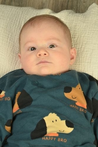 Yaman Satr - IMC AJANS