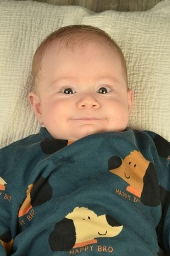 Yaman Satr - IMC AJANS