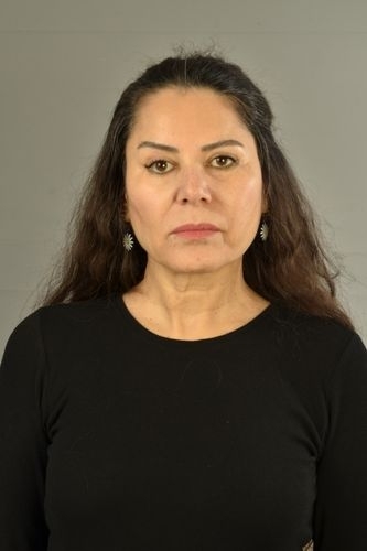 G�l G�ls�n Y�ld�z - IMC AJANS