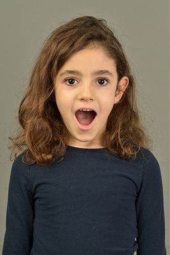 Karya Perk - IMC AJANS