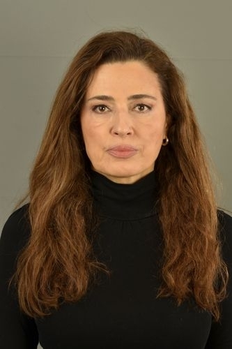 Sibel Tan Ar�kan - IMC AJANS