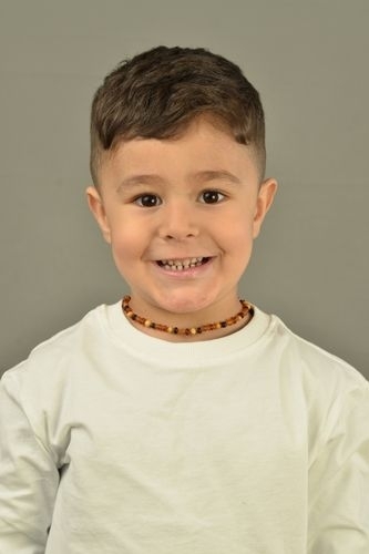 Mehmet Aras Ya�l� - IMC AJANS