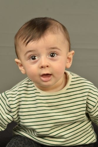 Toprak �rnek - IMC AJANS