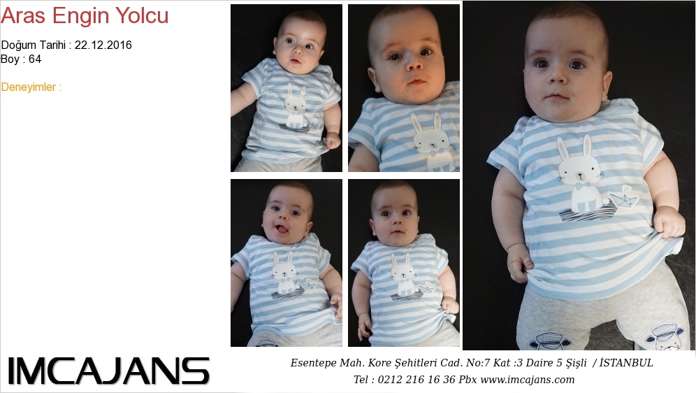 Aras Engin Yolcu IMC AJANS