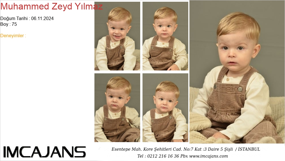 Muhammed Zeyd Ylmaz - IMC AJANS