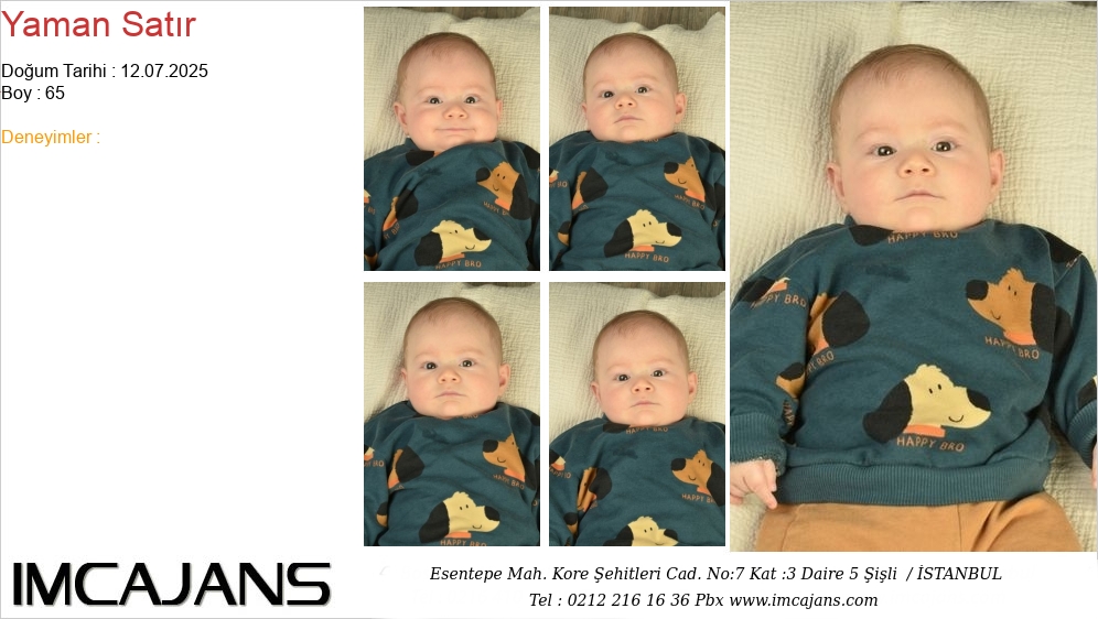 Yaman Satr - IMC AJANS