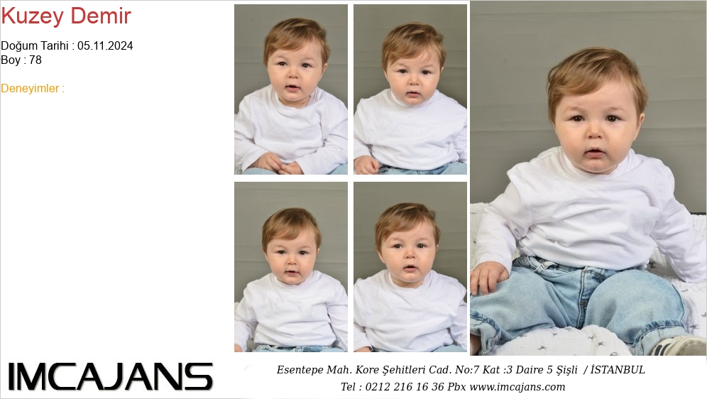 Kuzey Demir - IMC AJANS