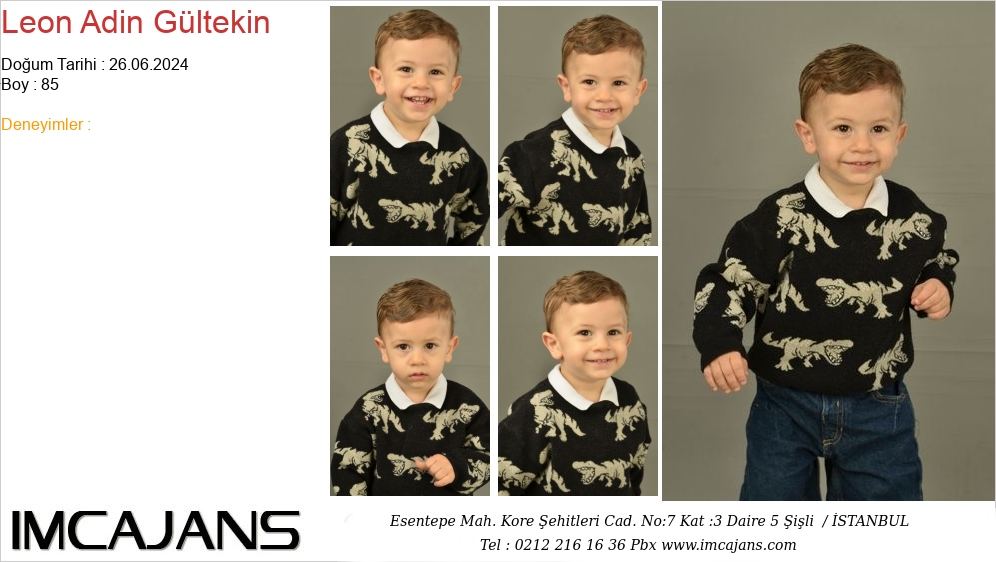 Leon Adin G�ltekin - IMC AJANS