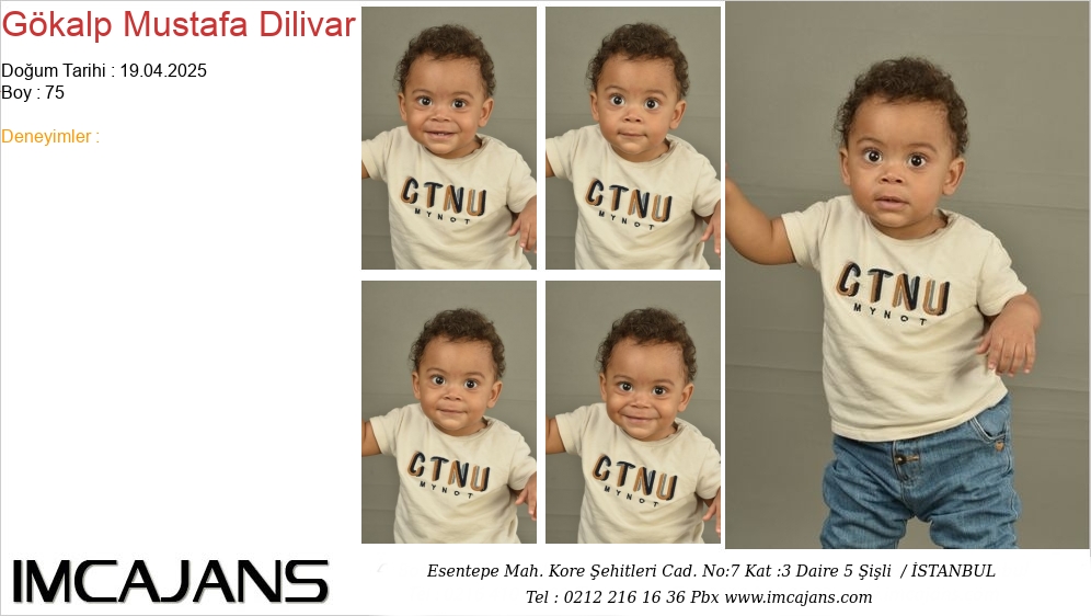G�kalp Mustafa Dilivar - IMC AJANS