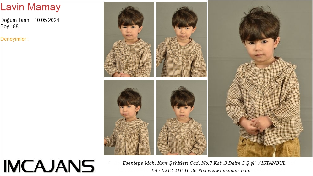 Lavin Mamay - IMC AJANS