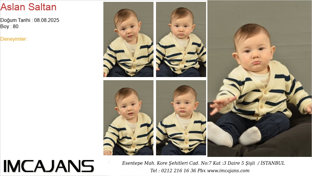 Aslan Saltan - IMC AJANS