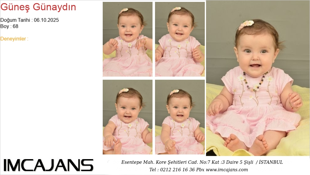 G�ne� G�nayd�n - IMC AJANS